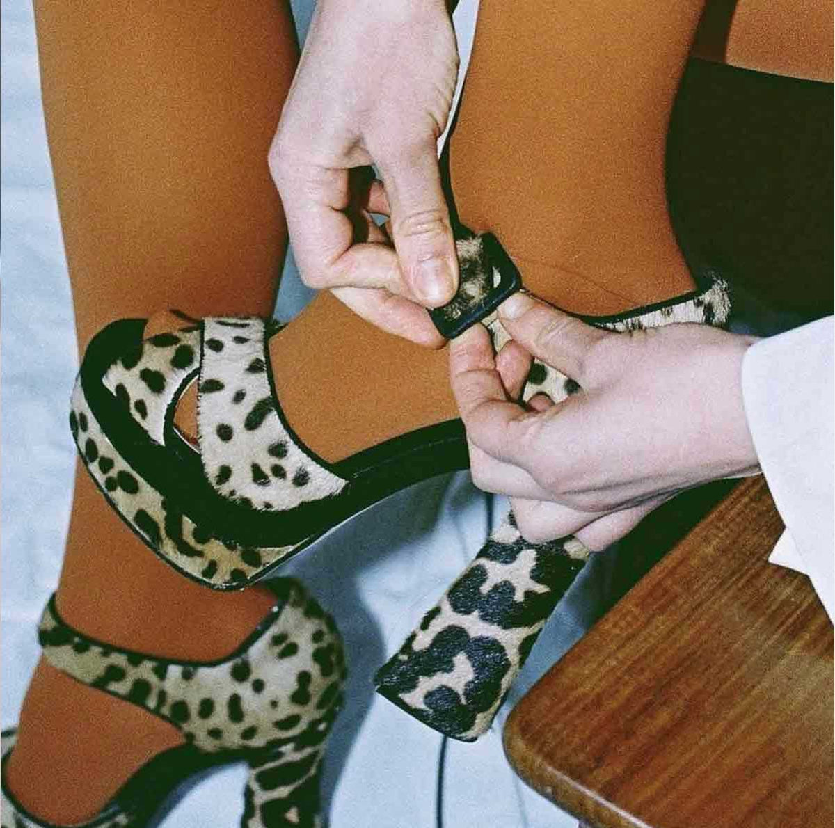 Trasparenze Sophie 70 strømpebukse i varm brun (Caucciu), fargerike strømpebukser i sandaler, platformsko, leopard, bruntoner, lys brun, varm brun, tett, matt og tykk strømpebukse, fargede, farget, fargerik, stort utvalg av farger