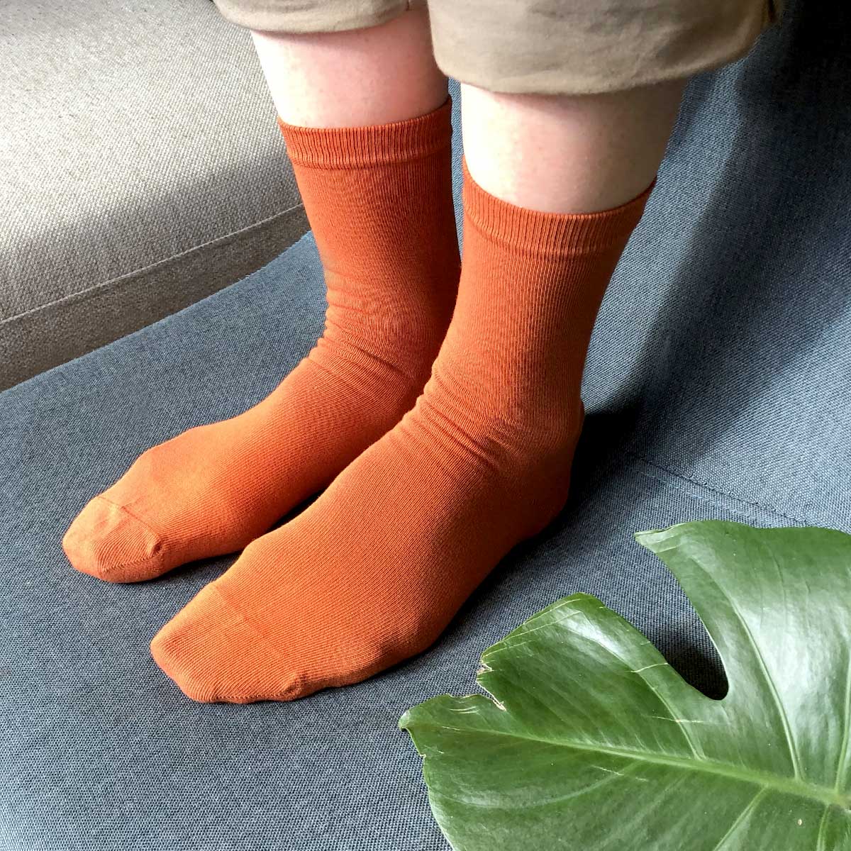 fargerike sokker - Sokker i økologisk bomull